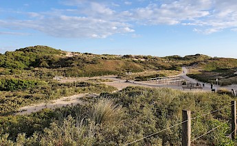 Dunes along the shores in Den Haag, the Netherlands. Ivo van Beek