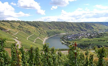 Three River Bike & Barge - Rhine, Moselle, and Saar Bike Tour