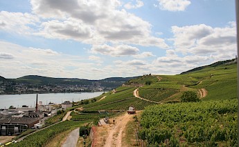 Rüdesheim am Rhein, Germany. Noah Boyer@Unsplash
