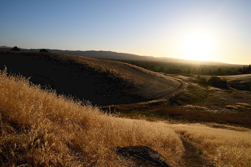 Lime Ridge, Walnut Creek, CA, USA (CC-BY-2.0)