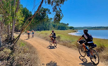 Cyclists riding on a dirt path by a river, surrounded by lush greenery on a sunny day.