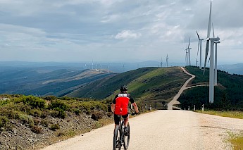 A cyclist on a mountain bike rides along a winding path through a landscape dotted with wind turbines.