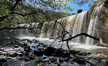 A picturesque waterfall flowing over a rocky ledge, framed by tree branches, in a natural setting.