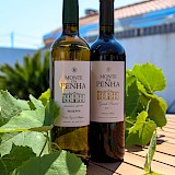Great Spanish wines! Bruno Ferreira@Unsplash