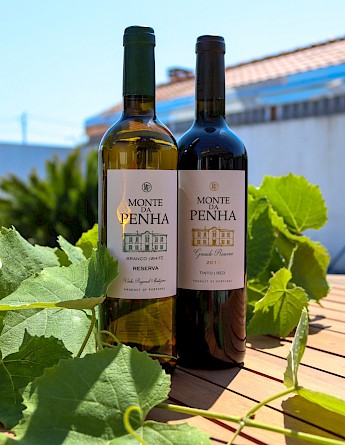 Two bottles of wine on a wooden table, accompanied by green grape leaves, set against a clear blue sky.