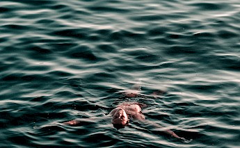 Swimming in paradise. david boca@Unsplash