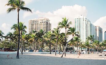 Palm trees at the South Beach, Miami, Florida. Unsplash:Aurora Kreativ
