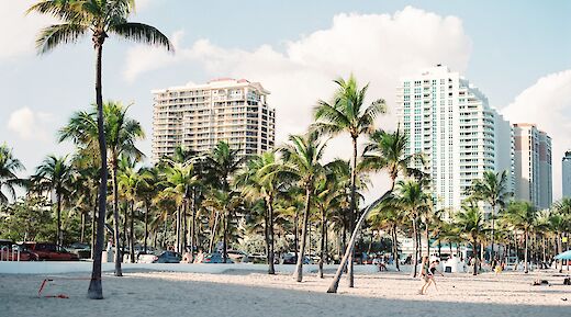 Palm trees at the South Beach, Miami, Florida. Unsplash:Aurora Kreativ