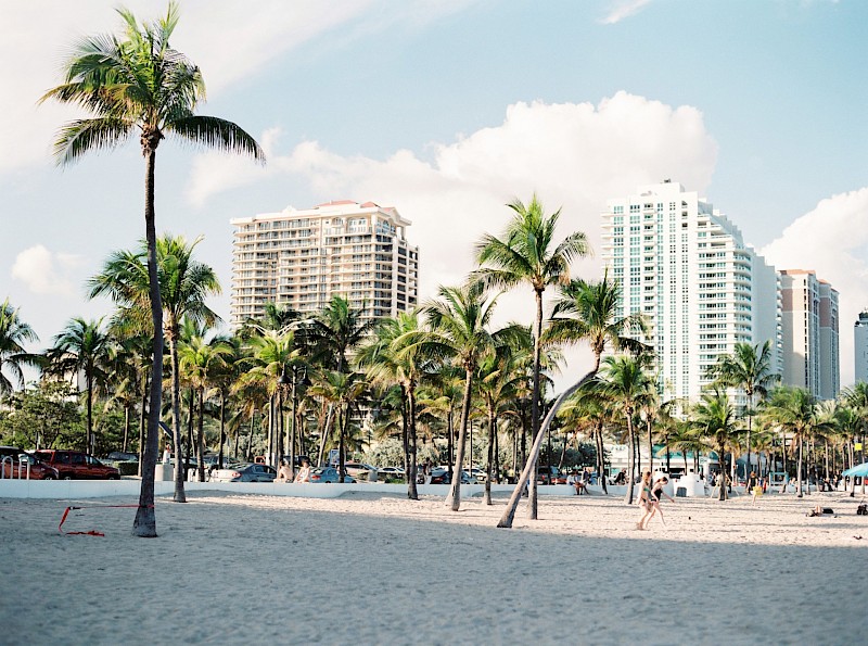 Palm trees at the South Beach, Miami, Florida. Unsplash:Aurora Kreativ