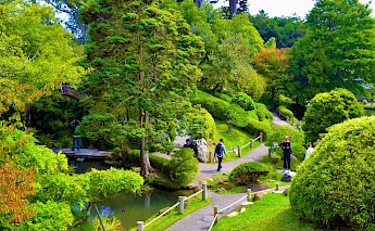 Golden Gate Park, San Francisco. Unsplash:Jeffrey Eisen