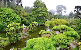 Golden Gate Park in the Fog, San Francisco. Flickr: Anthony G. Reyes