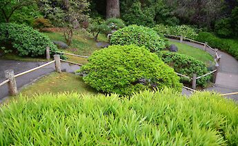 A footpath in Golden Gate Park, San Francisco. Flickr: Anthony G. Reyes