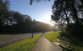 A path in Golden Gate Park, San Francisco. Flickr: AMYamasaki