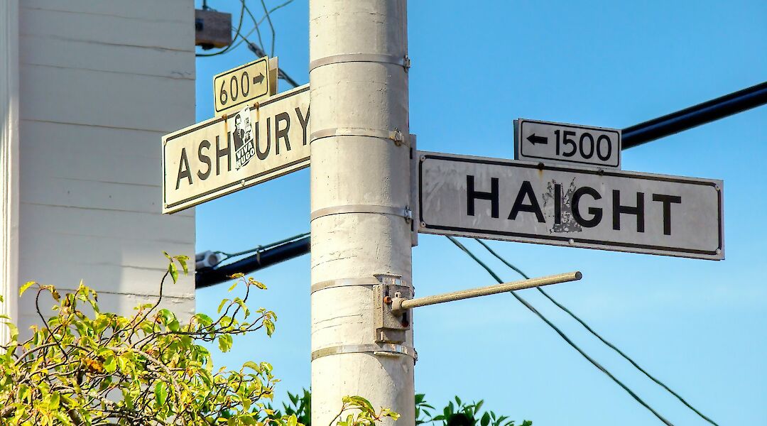 Street signs for Haight and Ashbury streets on a post, surrounded by green foliage against a blue sky.