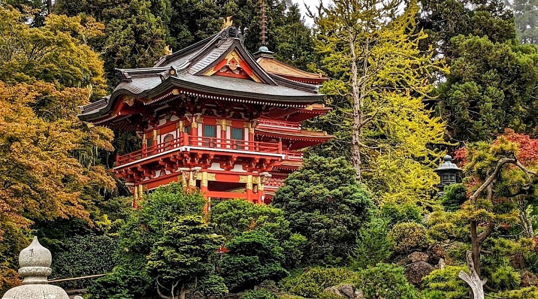 Japanese Tea Garden, San Francisco. Unsplash:Carl Kho