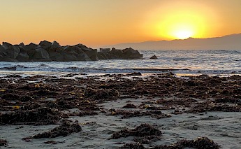 Venice Beach at the sunset. Flickr:Kevin Dooley