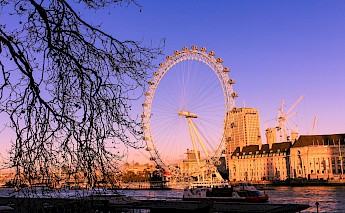 The London Eye at sunset. Federico Tasin@Unsplash