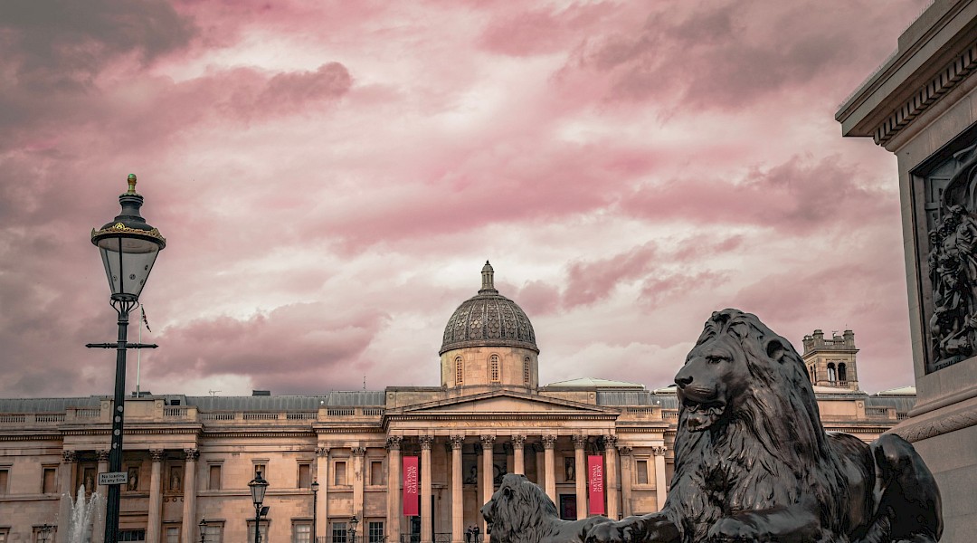 Landseer Lions at sunset, Trafalgar Square, London. Unsplash:George Ciobra