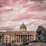 Landseer Lions at sunset, Trafalgar Square, London. Unsplash:George Ciobra