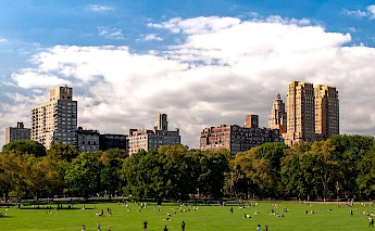 Aerial view of Central Park, NYC. Unsplash:David Vives