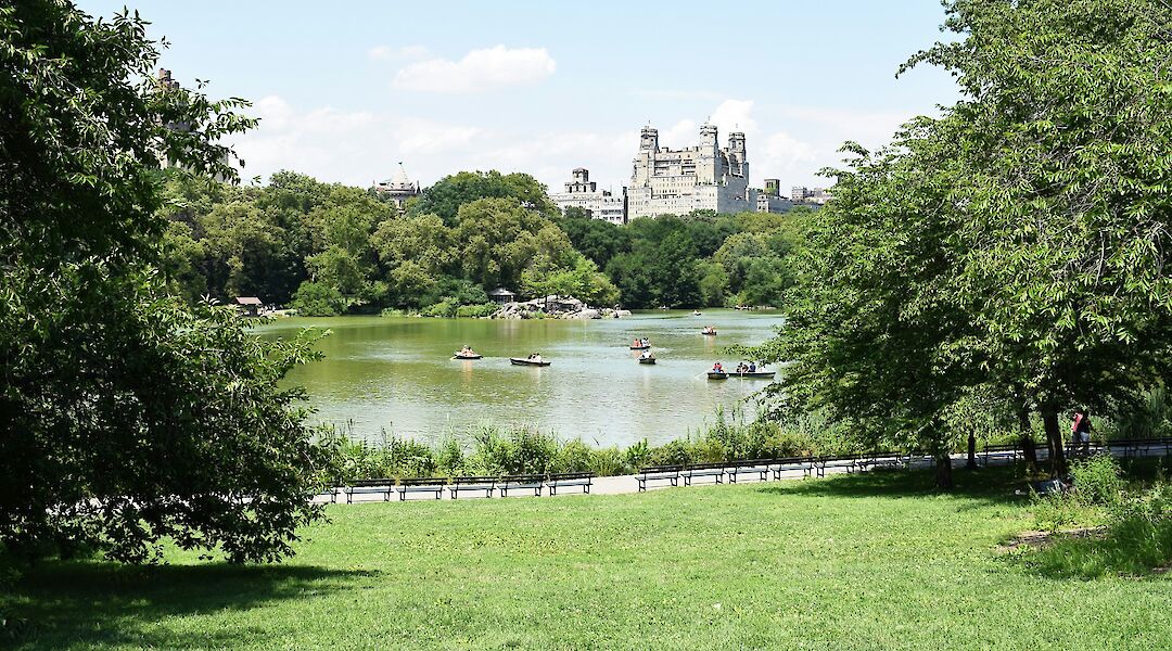 Central Park, Manhattan, New York City. Unsplash: Chris Barbalis