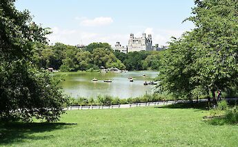 Central Park, Manhattan, New York City. Unsplash: Chris Barbalis