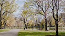 Highlights of Central Park New York Bike Tour