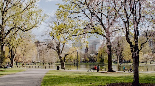 Highlights of Central Park New York Bike Tour, New York City, NY