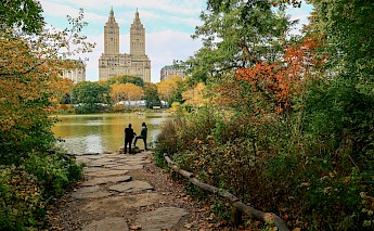 Overlooking the prestigious San Remo neighbourhood. Unsplash:Andy
