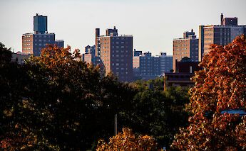 Brooklyn in the Fall, New York City. Unsplash: Jimmy Woo