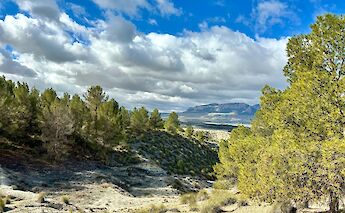 Mountain views in Benamaurel, Spain. Unsplash@Michelle Hayman