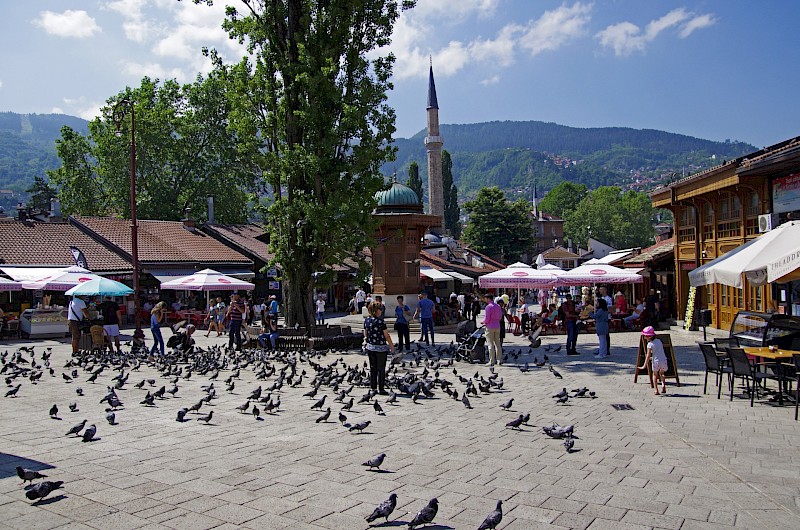 Pigeons at Bascarsija, Sarajevo, Bosnia and Herzegovina. Unsplash:Lothar Boris