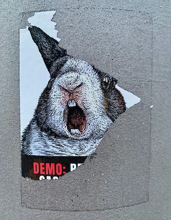 Poster, Berlin, Germany. Bekky Bekks@Unsplash