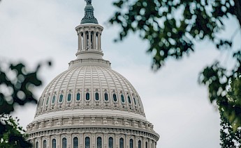 The Capitol Dome, Washington DC.Flickr:John Brighenti