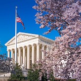 Supreme Court in full blossom, Washington DC. Flickr:John Brighenti