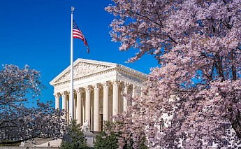 Supreme Court in full blossom, Washington DC. Flickr:John Brighenti