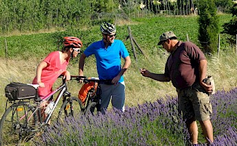 Cycling near Avignon, France.