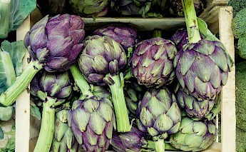 Fresh artichokes in France. Martin Adams@Unsplash