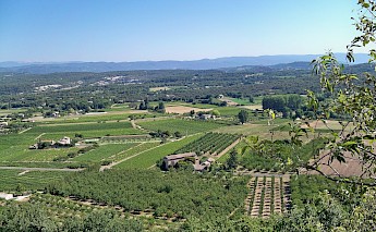 Luberon Vineyards, France. CC:Veronique PAGNIER