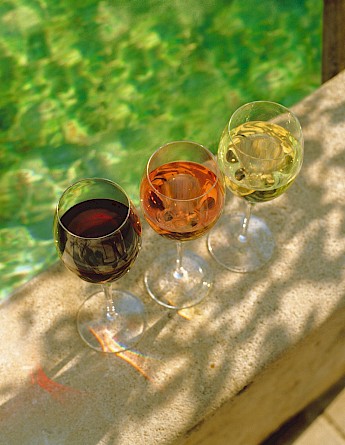 Wine tasting! vinhosprovence@Flickr