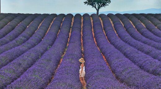 Roussillon, Provence-Alpes-C&ocirc;te d'Azur, France. Baraa Jalahej@Unsplash