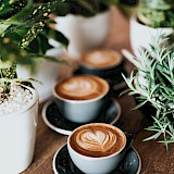 Creamy cappuccino served between coffee plants. Unsplash:Nathan Dumlao