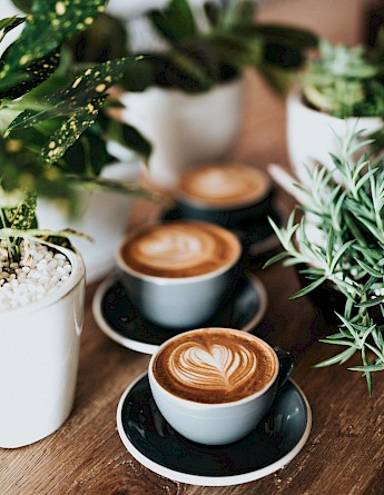 Creamy cappuccino served between coffee plants. Unsplash:Nathan Dumlao