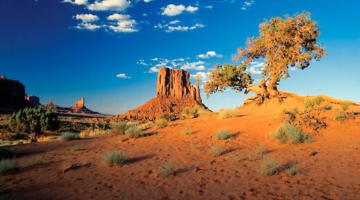 Blue skies over Monument Valley, United States. Getty Images@Unsplash