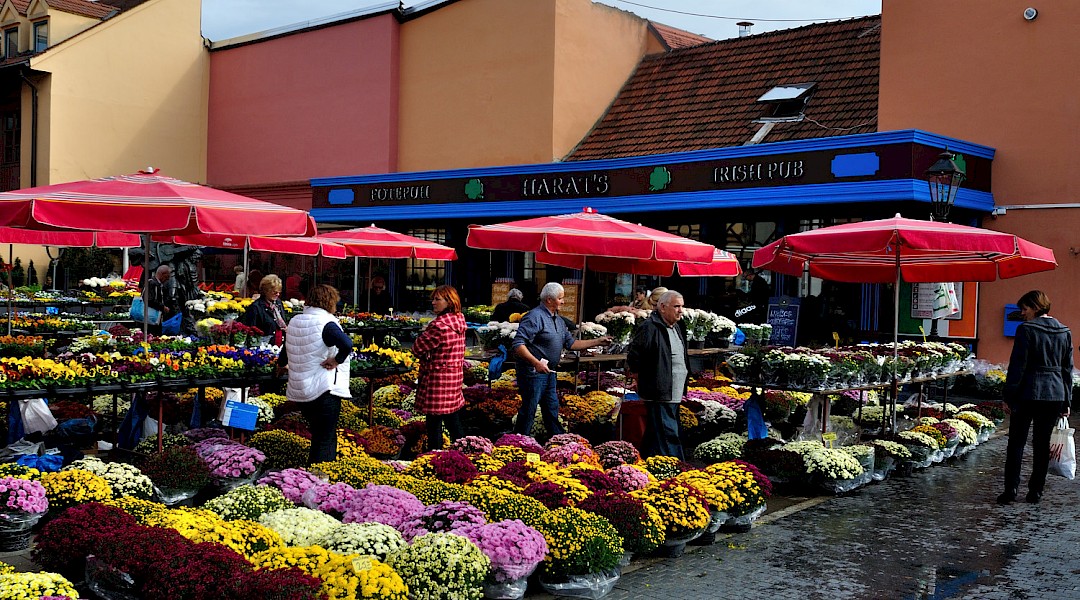 Flowers banks at Dolac market, Zagreb. Flickr:Maurizio Constanzo