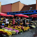 Flowers banks at Dolac market, Zagreb. Flickr:Maurizio Constanzo