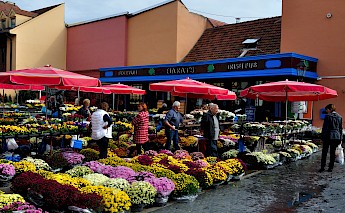 Flowers banks at Dolac market, Zagreb. Flickr:Maurizio Constanzo