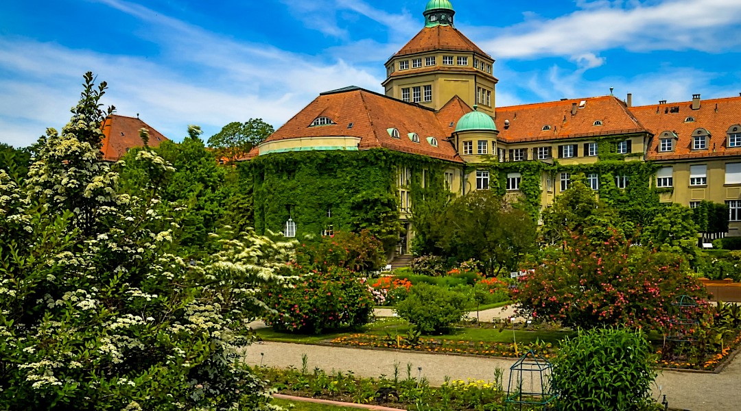 Botanical garden in Munich. Flickr:Polybert49