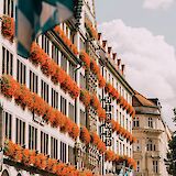 Discover the majesty of Munich