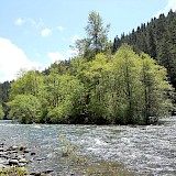 McKenzie River, Oregon. CC:Jsayre64
